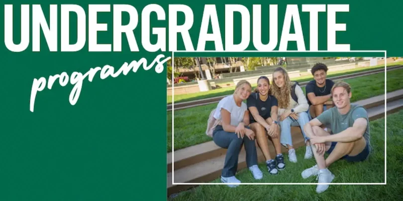 undergraduate programs